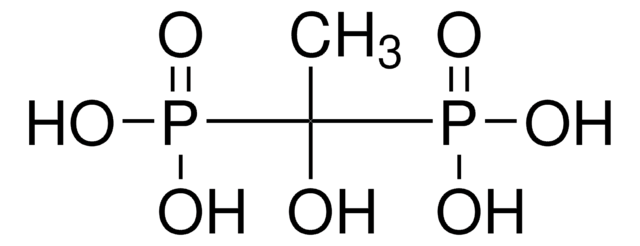 エチドロン酸 60% aqueous solution