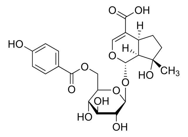 6&#8242;-(p-Hydroxybenzoyl)mussaenosidic acid &#8805;95% (LC/MS-ELSD)