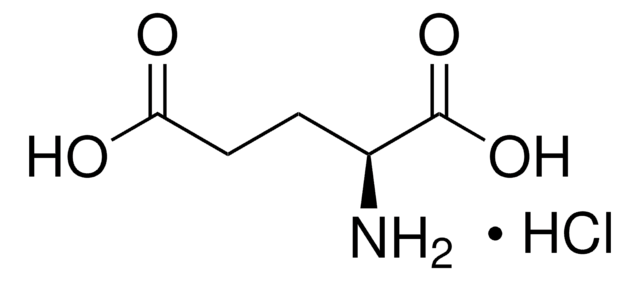 L-グルタミン酸 塩酸塩