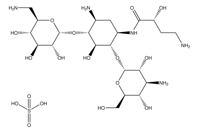 Amikacine sulfate salt aminoglycoside antibiotic