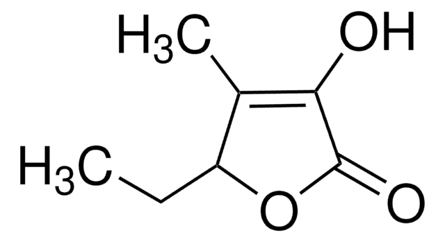 5-Ethyl-3-hydroxy-4-methyl-2(5H)-furanon 97%, FG