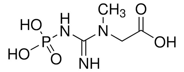 [[Imino(phosphonoamino)methyl](methyl)amino]acetic acid