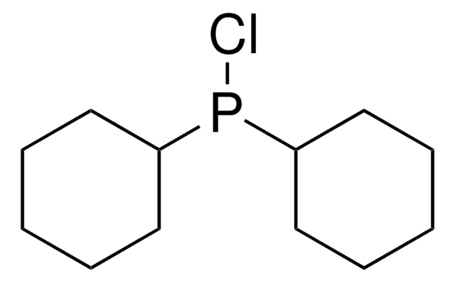 二环己基氯化膦 97%