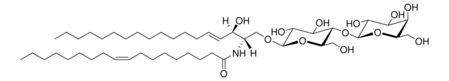 C18:1 Lactosyl(&#946;) Ceramide (d18:1/18:1) Avanti Research&#8482; - A Croda Brand 860590P, powder