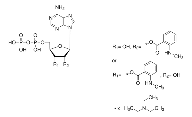 Mant-ADP triethylammonium salt solution &#8805;95.0% (HPLC)