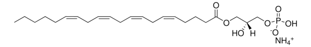 20:4 Lyso PA 1-arachidonoyl-2-hydroxy-sn-glycero-3-phosphate (ammonium salt), chloroform