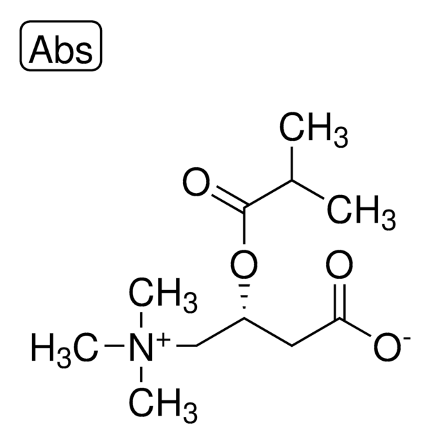 异丁酰基- L -肉碱 &#8805;97.0% (HPLC)