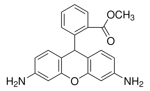 二氢罗丹明123 &#8805;95%