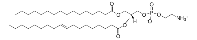 大肠菌 PE Avanti Research&#8482; - A Croda Brand 840027P, powder