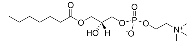 07:0 Lyso PC 1-heptanoyl-2-hydroxy-sn-glycero-3-phosphocholine, powder