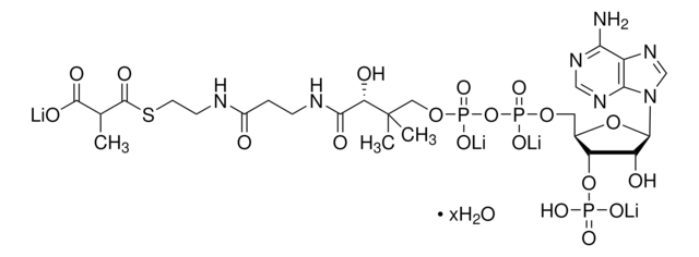 メチルマロニルコエンザイムA 四リチウム塩 水和物 &#8805;90% (HPLC)