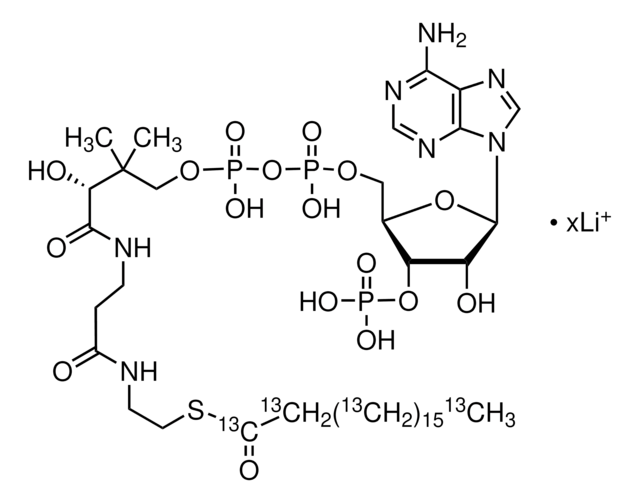 Stearoyl-13C18 Coenzyme&#160;A lithium salt 99 atom % 13C, 95% (CP)