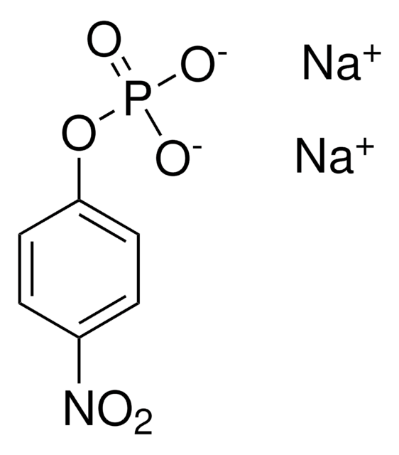 p-Nitrophenyl Phosphate Liquid Substrate System liquid