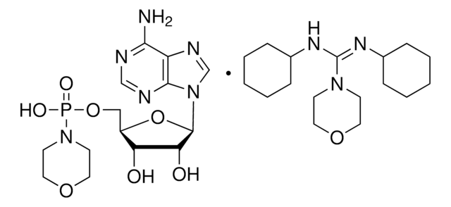 5&#8242;-一磷酸吗啡腺苷 N,N'-二环己基-4-吗啉脒盐