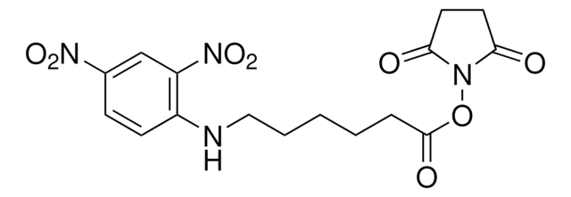 N-(2,4-Dinitrophenyl)-6-amino-capronsäure-N-succinimidylester &#8805;95% (HPLC)