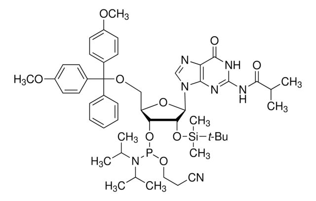 DMT-2&#8242;O-TBDMS-rG(ib)-phosphoramidit configured for MerMade