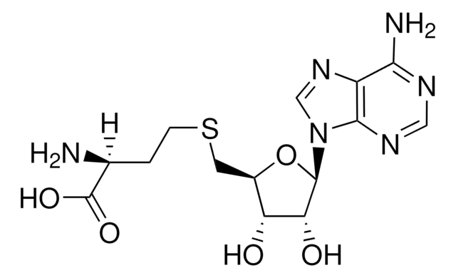 S-(5&#8242;-アデノシル)-L-ホモシステイン United States Pharmacopeia (USP) Reference Standard