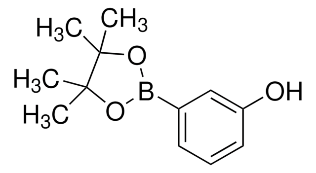 3-Hydroxyphenylboronic acid pinacol ester 97%