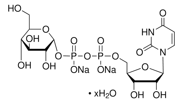 ウリジン5&#8242;-ジホスホグルコース 二ナトリウム塩 水和物 from Saccharomyces cerevisiae &#8805;98%