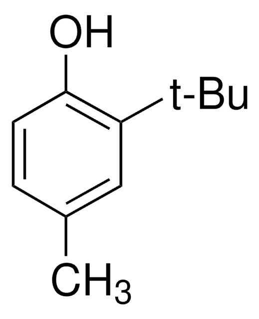 2-tert-ブチル-4-メチルフェノール 99%