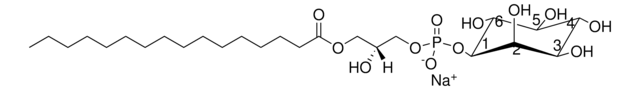 大豆Lyso PI Avanti Research&#8482; - A Croda Brand 850090P, powder