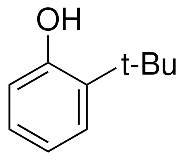 2-tert-ブチルフェノール 99%