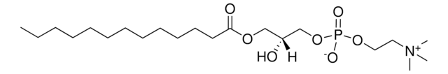 13:0 Lyso PC 1-tridecanoyl-2-hydroxy-sn-glycero-3-phosphocholine, powder