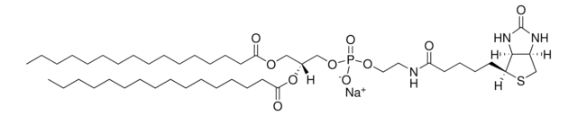 16:0 生物素 PE Avanti Research&#8482; - A Croda Brand 870285P, powder