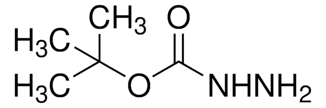 肼基甲酸叔丁酯 98%