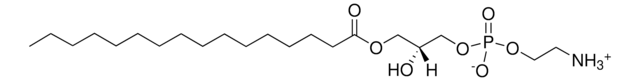 16:0 Lyso PE Avanti Research&#8482; - A Croda Brand, powder