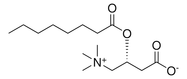 C8:0 L-carnitine Avanti Research&#8482; - A Croda Brand