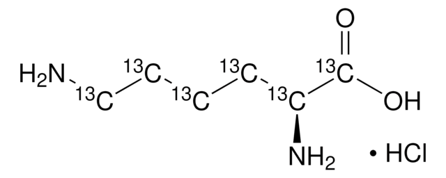 L-Lysin-13C6 -hydrochlorid 99 atom % 13C, 95% (CP)