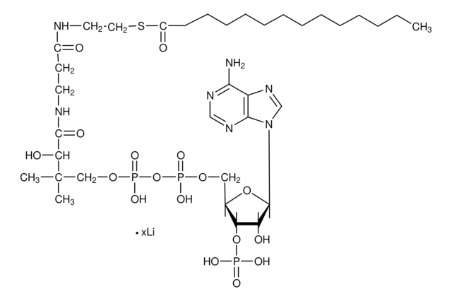 Myristoyl-Coenzym A Lithiumsalz &#8805;80.0%