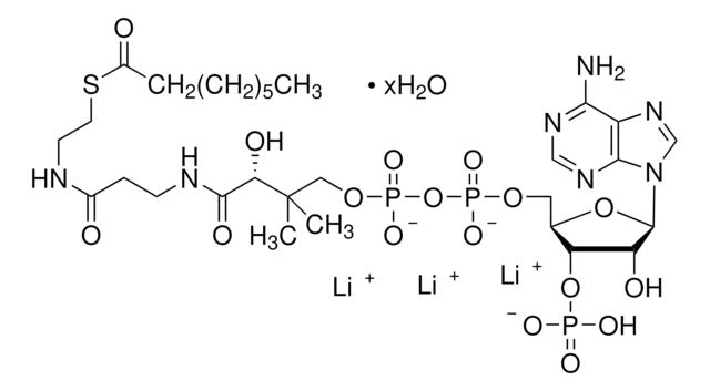 オクタノイルコエンザイム A リチウム塩 水和物 &#8805;95% (HPLC)