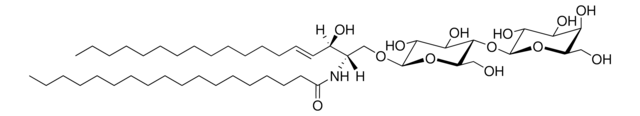 C18ラクトシル(&#946;)セラミド（d18:1/18:0） Avanti Research&#8482; - A Croda Brand 860598P, powder