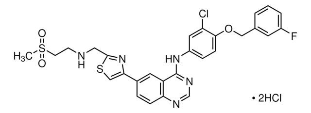 GW583340 dihydrochloride &#8805;97% (HPLC), solid