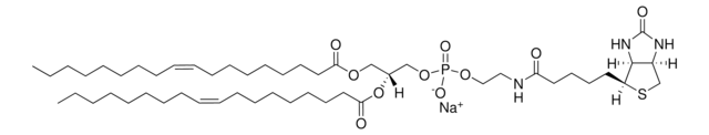 18:1 Biotinyl PE Avanti Research&#8482; - A Croda Brand 870282C