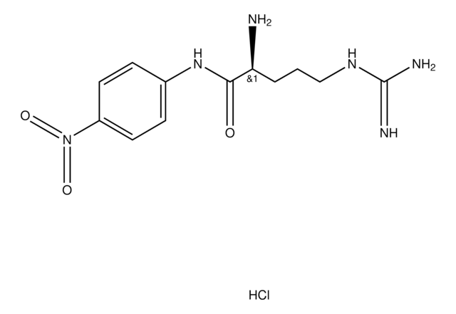 L-アルギニン p-ニトロアニリド 二塩酸塩 protease substrate