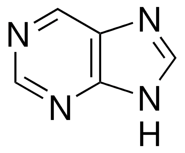 プリン 98%