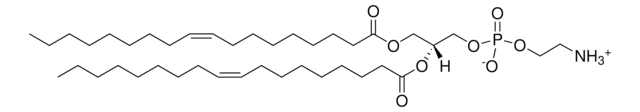 18：1（&#916;9-Cis） PE (DOPE) Avanti Research&#8482; - A Croda Brand