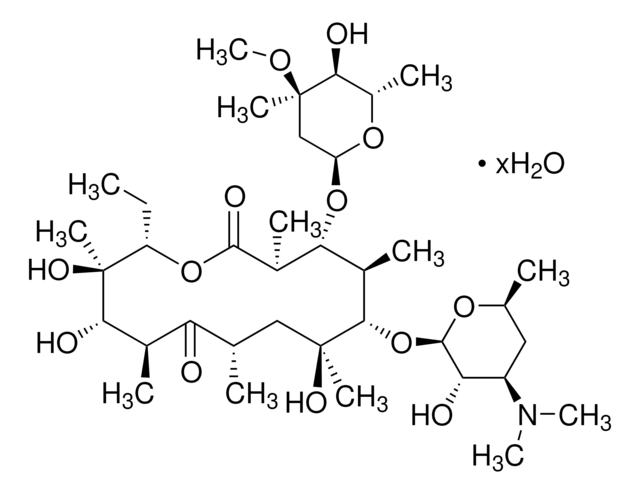 (&#8722;)-Erythromycin Hydrat 96%