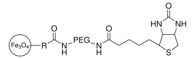 Iron oxide(II,III) magnetic nanoparticles solution 30&#160;nm avg. part. size (TEM), biotin functionalized, 1&#160;mg/mL Fe in H2O, dispersion