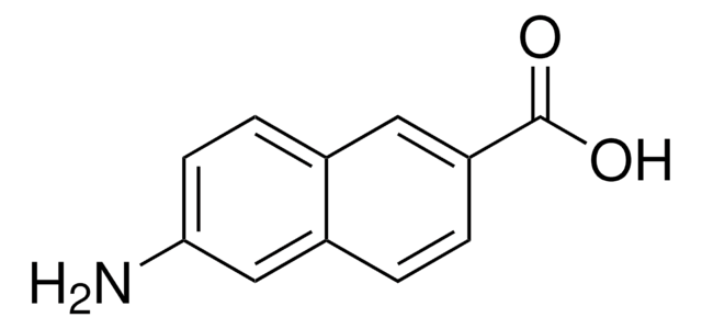 6-Amino-2-naphthoesäure 90%