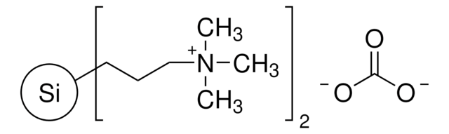 3-(Trimethylammonium)propyl-funktionalisiertes Kieselgel, Carbonat 200-400&#160;mesh, extent of labeling: 0.8&#160;mmol/g loading