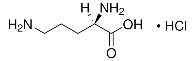 D-Ornithin -monohydrochlorid ~98%