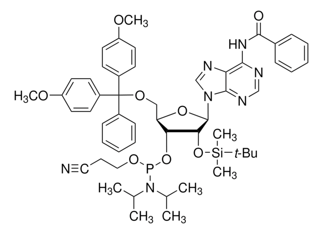 DMT-2&#8242;O-TBDMS-rA(bz)-phosphoramidit configured for MerMade