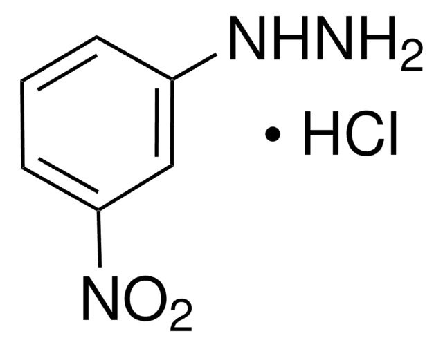 3-ニトロフェニルヒドラジン 塩酸塩 98%