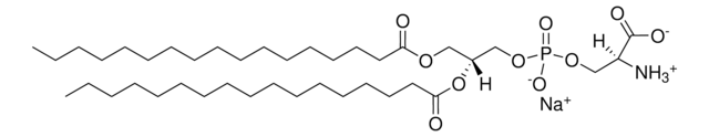 17:0 PS Avanti Polar Lipids