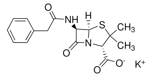 Penicillin G potassium salt Pharmaceutical Secondary Standard; Certified Reference Material