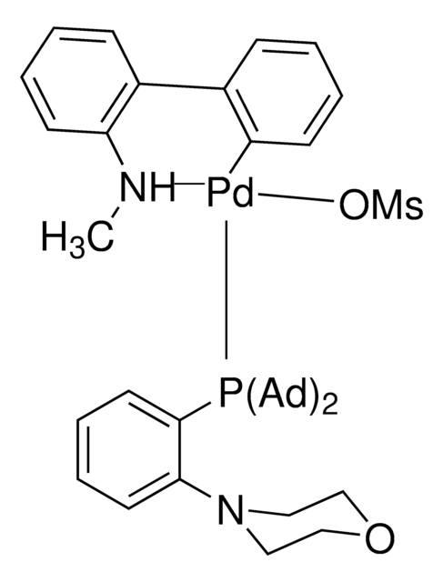 MorDalPhos Pd G4